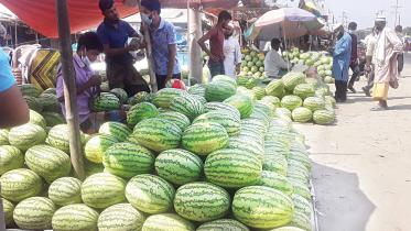 watermelons.jpg