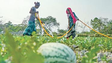The-people-of-Khulna.jpg