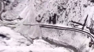 himalayan.jpg