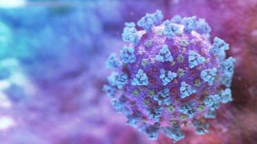 coronavirus-web.jpg