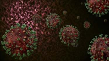 covid-19-variant.jpg