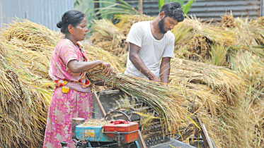 subsidies-to-farmers.jpg