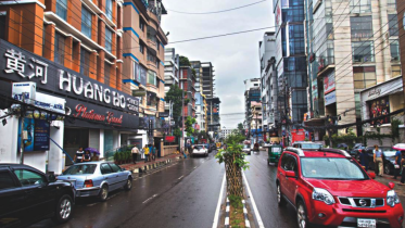 bANANI RD11.png