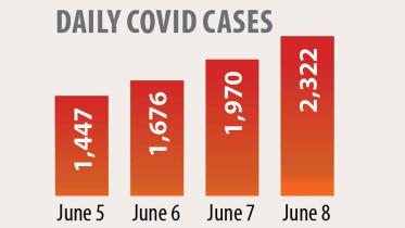 daily-covid-cases.jpg