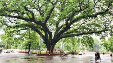 Dhaka-University-Campus.jpg