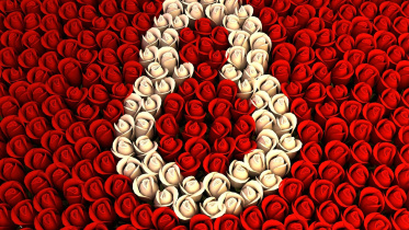 8march
