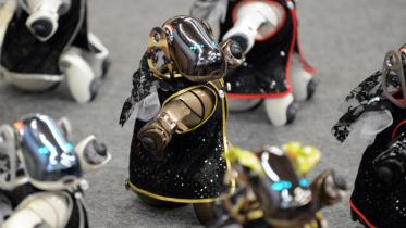Aibo