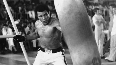 Ali-best-quote-web.jpg
