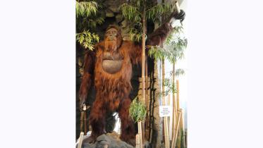 ape-wb.jpg