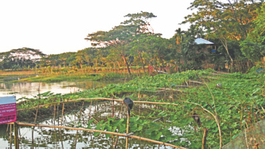 Bangladesh.jpg