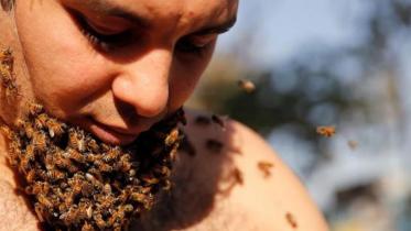 Beard of Bees