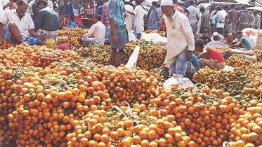 betel nut.jpg