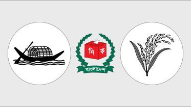 AL BNP logo