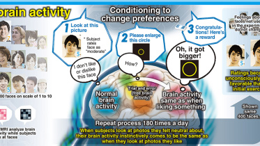 brain training