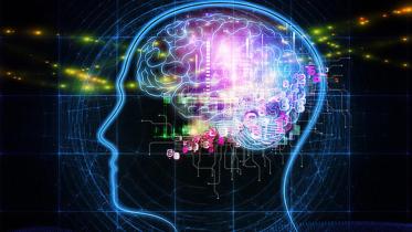 brain1.jpg