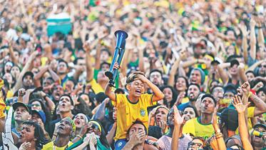 brazil fan.jpg