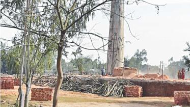 Brick kilns