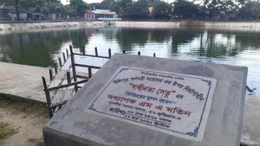 Bridge-web.jpg