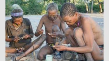 Bushman-Poison-1WB.jpg