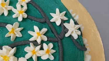 cake.jpg
