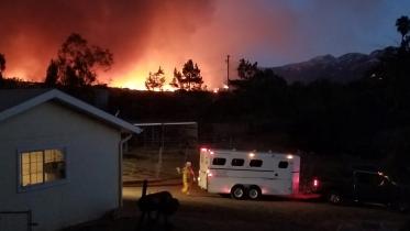 calif.jpg