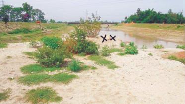 Canal-digging-Dinajpur.jpg