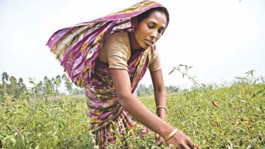 changing-rural-economy.jpg