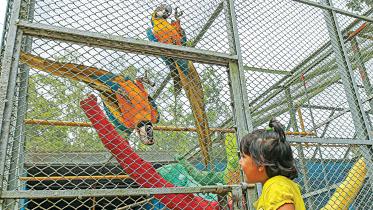 Chattogram-zoo