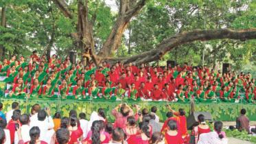 Chhayanaut