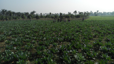 Chuadanga Sadar.jpg