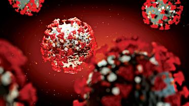 Coronavirus outbreak