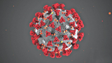 corona_virus.jpg