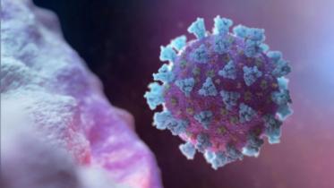 Coronavirus Covid19