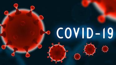 covid-19--new-large.jpg