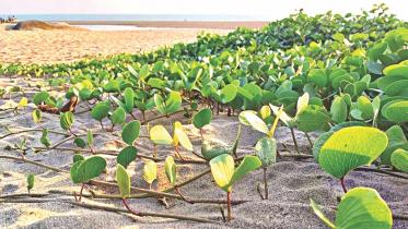 coxbazar-beach-nature.jpg