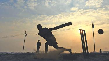 cricket.jpg