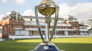 Cricket World Cup.jpg