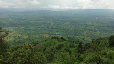 ctg-hill-tracts_1.jpg