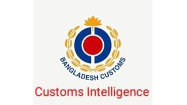 customs intel.jpg