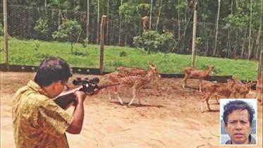 deear hunting.jpg