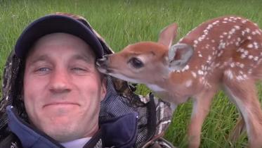 deer.JPG