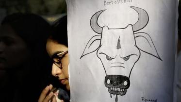 delhi-beef.jpg-NS.jpg