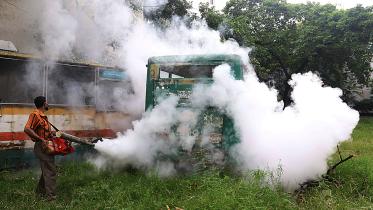 dengue.jpg