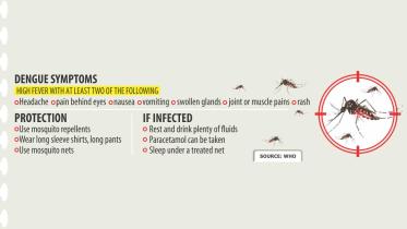dengue.jpg
