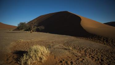 desert-WEB.jpg