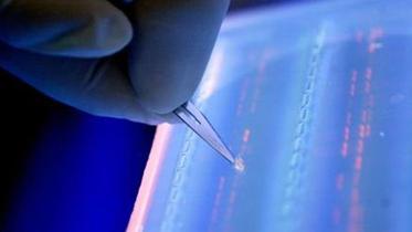 DNA-WEB.jpg