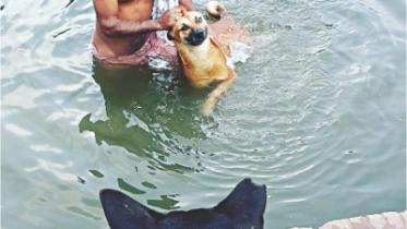 dog.jpg