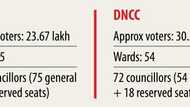 dscc dncc polls.jpg