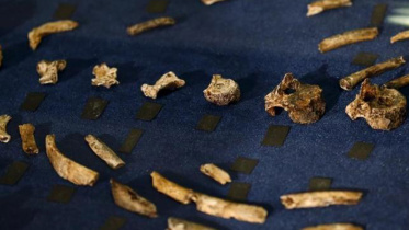 Early-humans-web.jpg