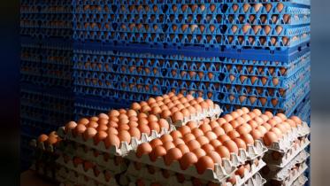 Eggs.JPG